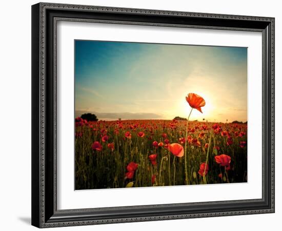 The Memory-Mark Gemmell-Framed Photographic Print