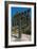 The Menorah in Front of the Knesset (Israeli Parliament)-null-Framed Photographic Print