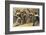 The "Mensur" (Fencing Bout), Both Duellists Hope They Will be Scarred for Life-Georg Muhlberg-Framed Photographic Print