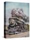 Stretched Canvas Print