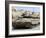 The Merkava Mark III-D main battle tank of the Israel Defense Force-Stocktrek Images-Framed Photographic Print