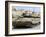 The Merkava Mark III-D main battle tank of the Israel Defense Force-Stocktrek Images-Framed Photographic Print