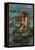 The Mermaid, 1892-John William Waterhouse-Framed Premier Image Canvas