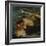 The Mermaid-Charles Haslewood Shannon-Framed Giclee Print