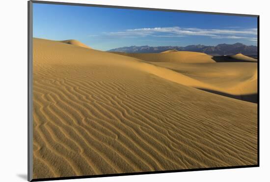 The Mesquite Sand Dunes in Death Valley National Park, California, USA-Chuck Haney-Mounted Photographic Print