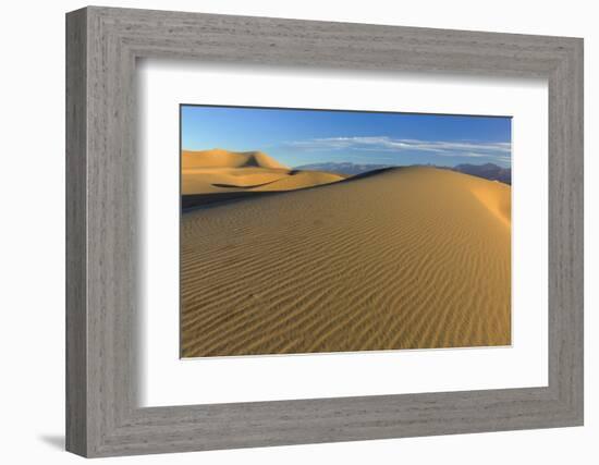 The Mesquite Sand Dunes in Death Valley National Park, California, USA-Chuck Haney-Framed Photographic Print