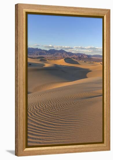 The Mesquite Sand Dunes in Death Valley National Park, California, USA-Chuck Haney-Framed Premier Image Canvas