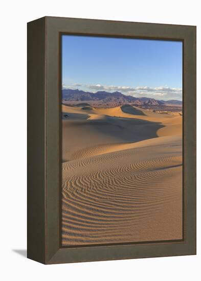 The Mesquite Sand Dunes in Death Valley National Park, California, USA-Chuck Haney-Framed Premier Image Canvas