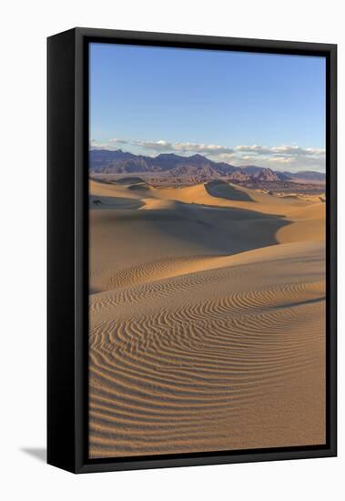 The Mesquite Sand Dunes in Death Valley National Park, California, USA-Chuck Haney-Framed Premier Image Canvas