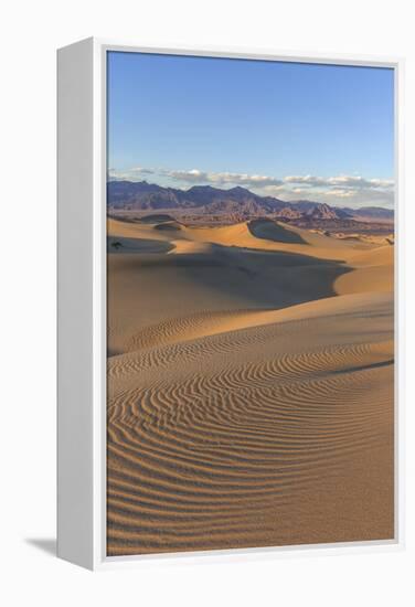 The Mesquite Sand Dunes in Death Valley National Park, California, USA-Chuck Haney-Framed Premier Image Canvas