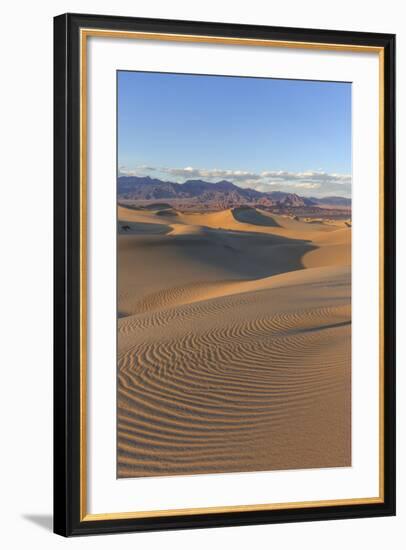 The Mesquite Sand Dunes in Death Valley National Park, California, USA-Chuck Haney-Framed Photographic Print