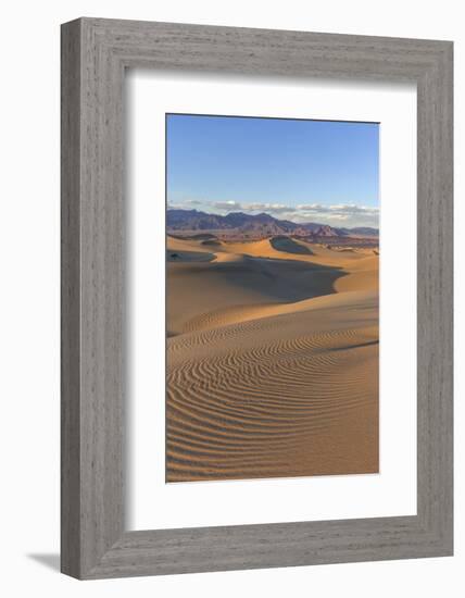 The Mesquite Sand Dunes in Death Valley National Park, California, USA-Chuck Haney-Framed Photographic Print