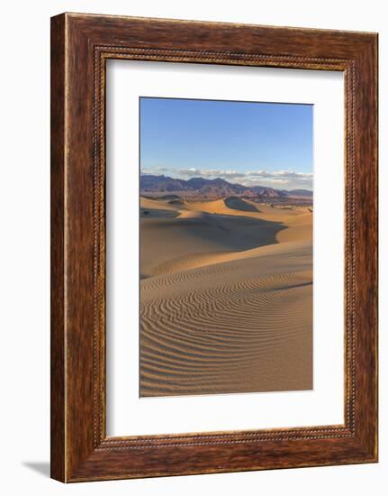 The Mesquite Sand Dunes in Death Valley National Park, California, USA-Chuck Haney-Framed Photographic Print