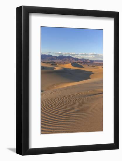 The Mesquite Sand Dunes in Death Valley National Park, California, USA-Chuck Haney-Framed Photographic Print