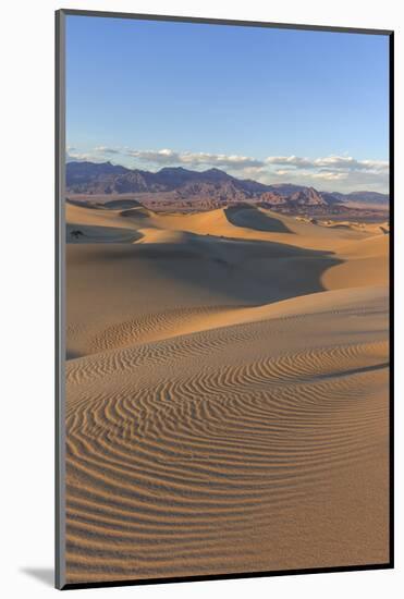 The Mesquite Sand Dunes in Death Valley National Park, California, USA-Chuck Haney-Mounted Photographic Print