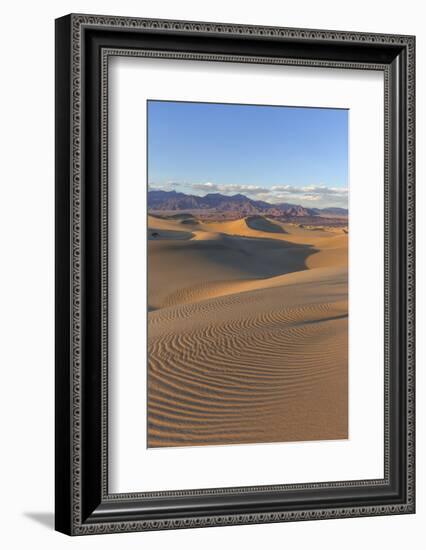 The Mesquite Sand Dunes in Death Valley National Park, California, USA-Chuck Haney-Framed Photographic Print