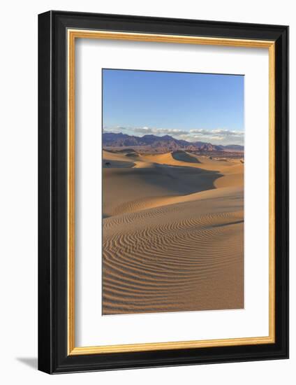 The Mesquite Sand Dunes in Death Valley National Park, California, USA-Chuck Haney-Framed Photographic Print