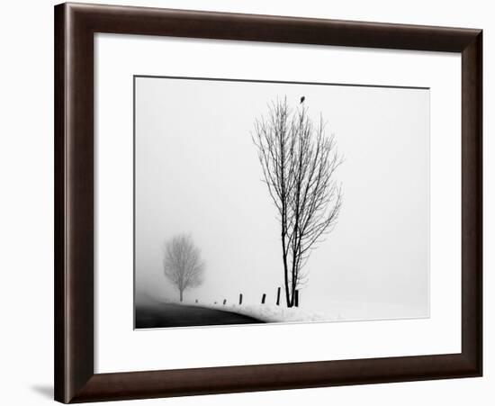 The Messenger-Ily Szilagyi-Framed Giclee Print