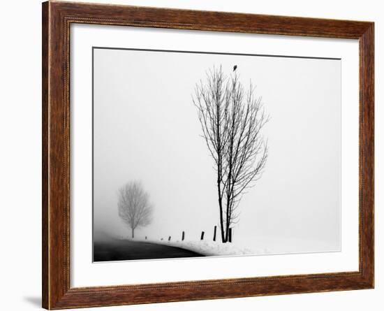 The Messenger-Ily Szilagyi-Framed Giclee Print