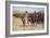 The Mexican Major, 1889-Frederic Remington-Framed Giclee Print