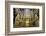 The Mezquita of Cordoba, Andalucia, Spain-Carlo Morucchio-Framed Photographic Print