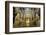 The Mezquita of Cordoba, Andalucia, Spain-Carlo Morucchio-Framed Photographic Print