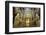 The Mezquita of Cordoba, Andalucia, Spain-Carlo Morucchio-Framed Photographic Print