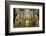 The Mezquita of Cordoba, Andalucia, Spain-Carlo Morucchio-Framed Photographic Print