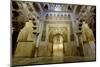 The Mezquita of Cordoba, Andalucia, Spain-Carlo Morucchio-Mounted Photographic Print