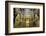 The Mezquita of Cordoba, Andalucia, Spain-Carlo Morucchio-Framed Photographic Print