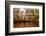 The Mezquita of Cordoba, Andalucia, Spain-Carlo Morucchio-Framed Photographic Print