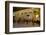 The Mezquita of Cordoba, Andalucia, Spain-Carlo Morucchio-Framed Photographic Print