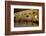 The Mezquita of Cordoba, Andalucia, Spain-Carlo Morucchio-Framed Photographic Print