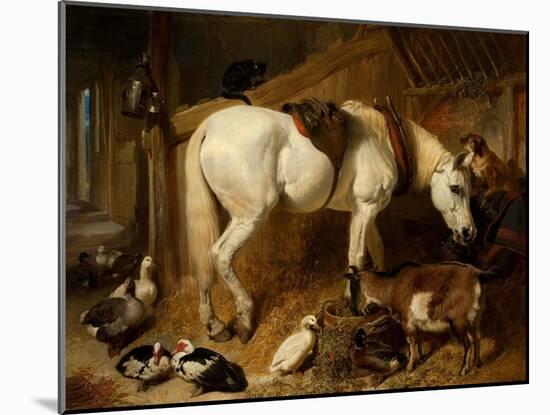 The Midday Meal, 1850-John Frederick Herring I-Mounted Giclee Print