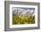 The Mieming Range with Yellow Flowers in the Foreground as Bokeh-Niki Haselwanter-Framed Photographic Print