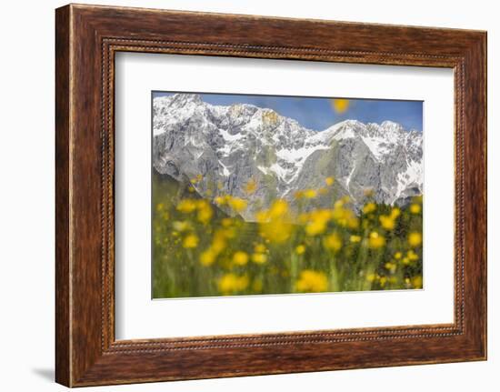 The Mieming Range with Yellow Flowers in the Foreground as Bokeh-Niki Haselwanter-Framed Photographic Print