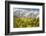 The Mieming Range with Yellow Flowers in the Foreground as Bokeh-Niki Haselwanter-Framed Photographic Print