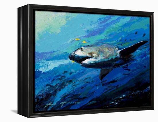 The Mighty Bull Shark-Jace D. McTier-Framed Premier Image Canvas