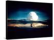 Stretched Canvas Print