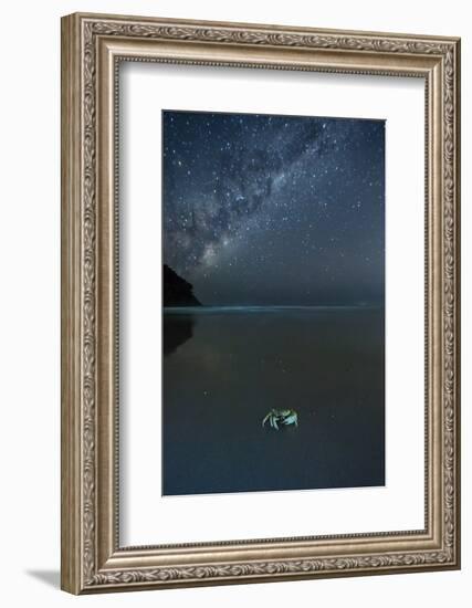 The Milky Way Above a Crab on a Beach-Alex Saberi-Framed Photographic Print