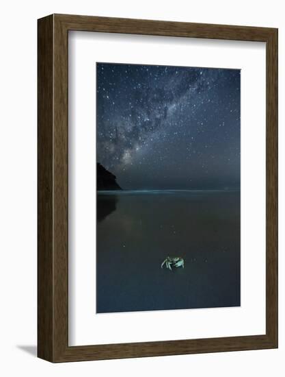 The Milky Way Above a Crab on a Beach-Alex Saberi-Framed Photographic Print