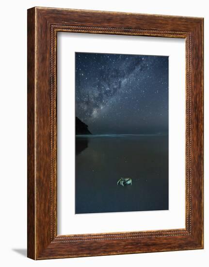 The Milky Way Above a Crab on a Beach-Alex Saberi-Framed Photographic Print