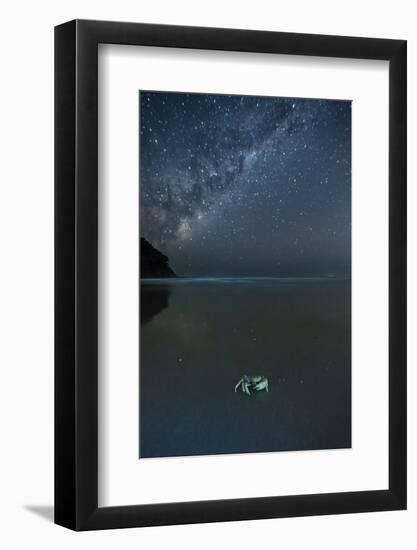 The Milky Way Above a Crab on a Beach-Alex Saberi-Framed Photographic Print