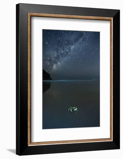 The Milky Way Above a Crab on a Beach-Alex Saberi-Framed Photographic Print