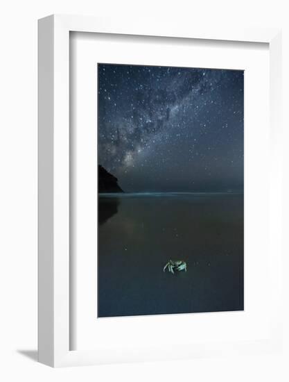 The Milky Way Above a Crab on a Beach-Alex Saberi-Framed Photographic Print