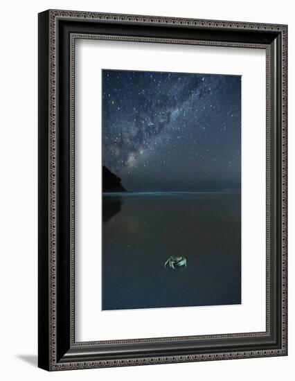 The Milky Way Above a Crab on a Beach-Alex Saberi-Framed Photographic Print