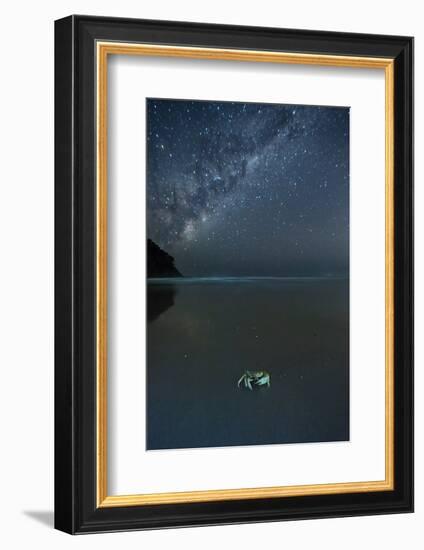 The Milky Way Above a Crab on a Beach-Alex Saberi-Framed Photographic Print