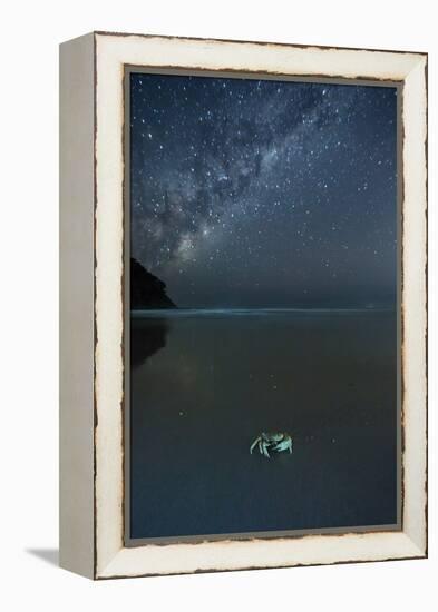 The Milky Way Above a Crab on a Beach-Alex Saberi-Framed Premier Image Canvas
