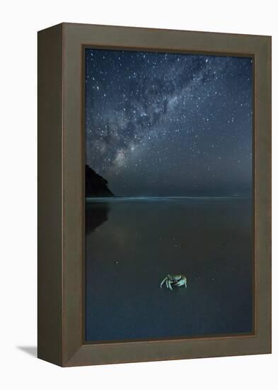 The Milky Way Above a Crab on a Beach-Alex Saberi-Framed Premier Image Canvas