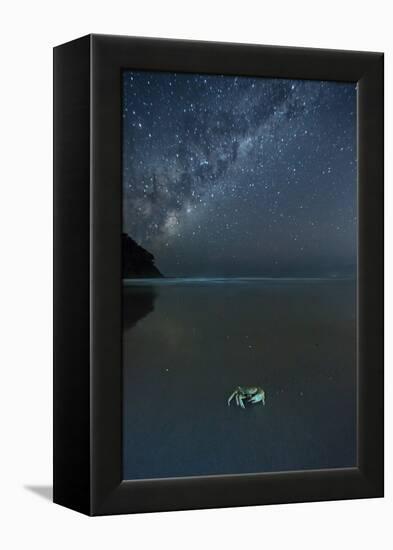 The Milky Way Above a Crab on a Beach-Alex Saberi-Framed Premier Image Canvas